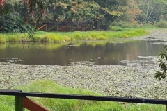 WhatsApp-Image-2025-08-27-at-3.06.03-PM-5